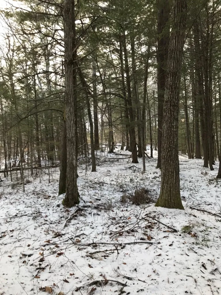 11 Conner Pond Road Ossipee NH 03864