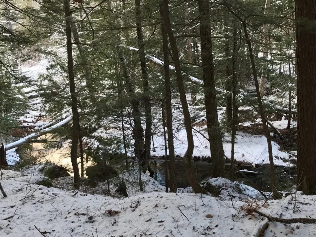 11 Conner Pond Road Ossipee NH 03864