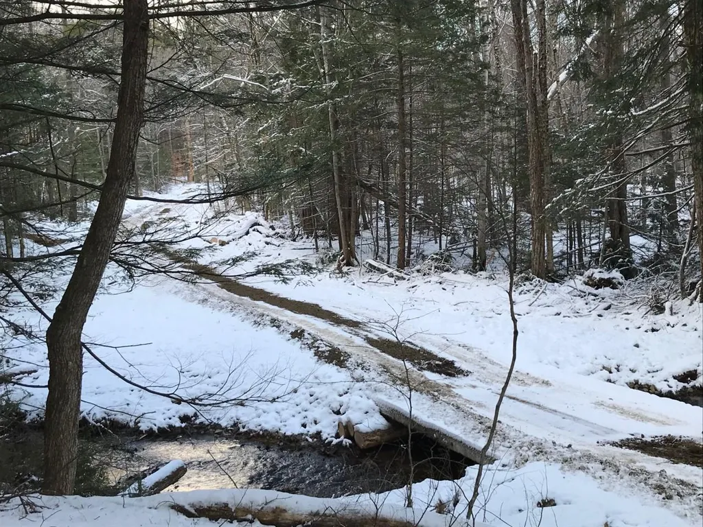 11 Conner Pond Road Ossipee NH 03864