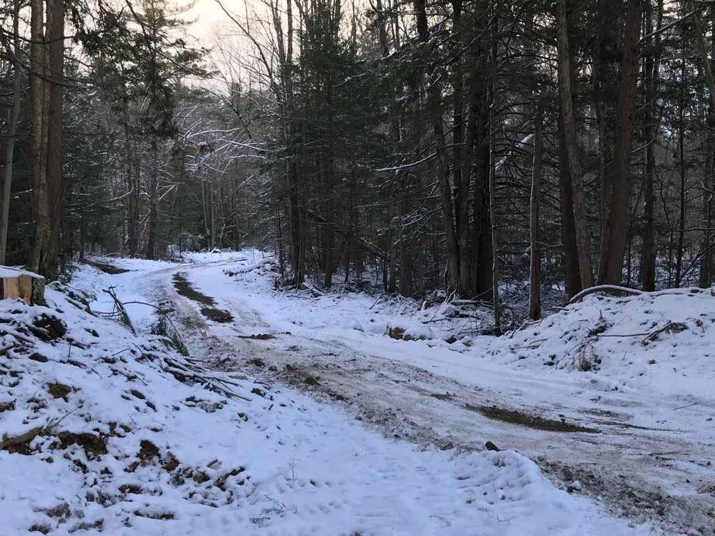 11 Conner Pond Road Ossipee NH 03864