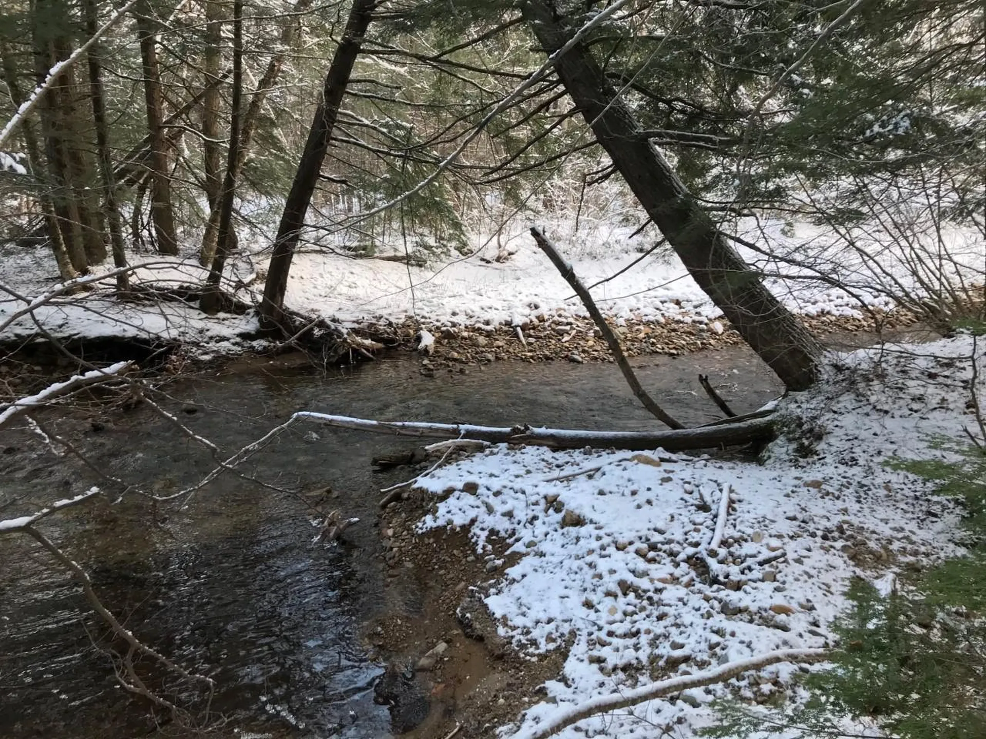 11 Conner Pond Road Ossipee NH 03864