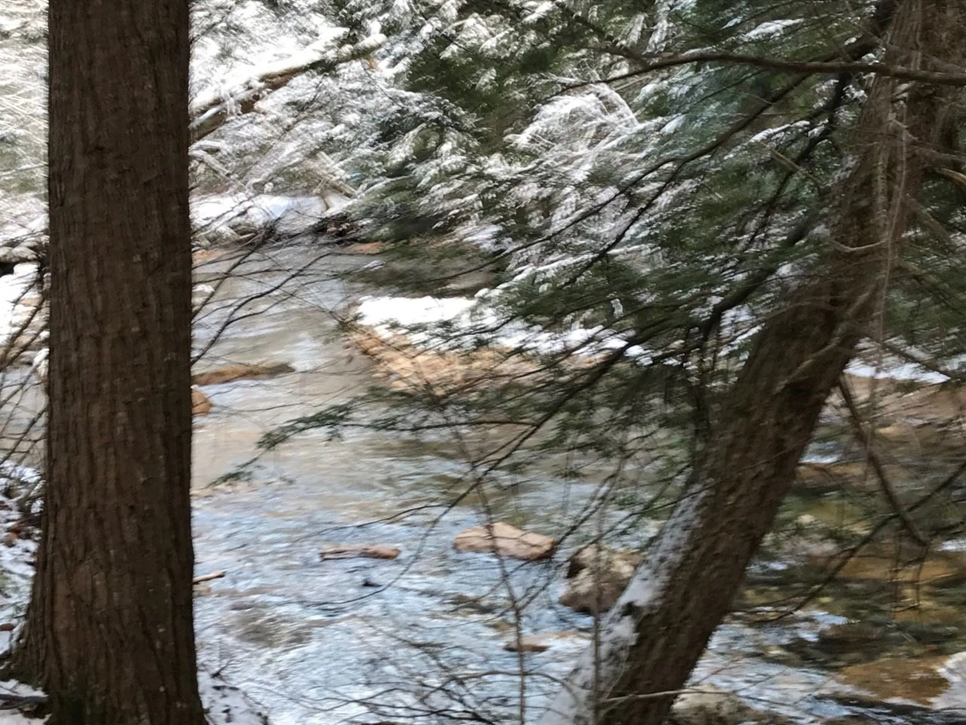 11 Conner Pond Road Ossipee NH 03864