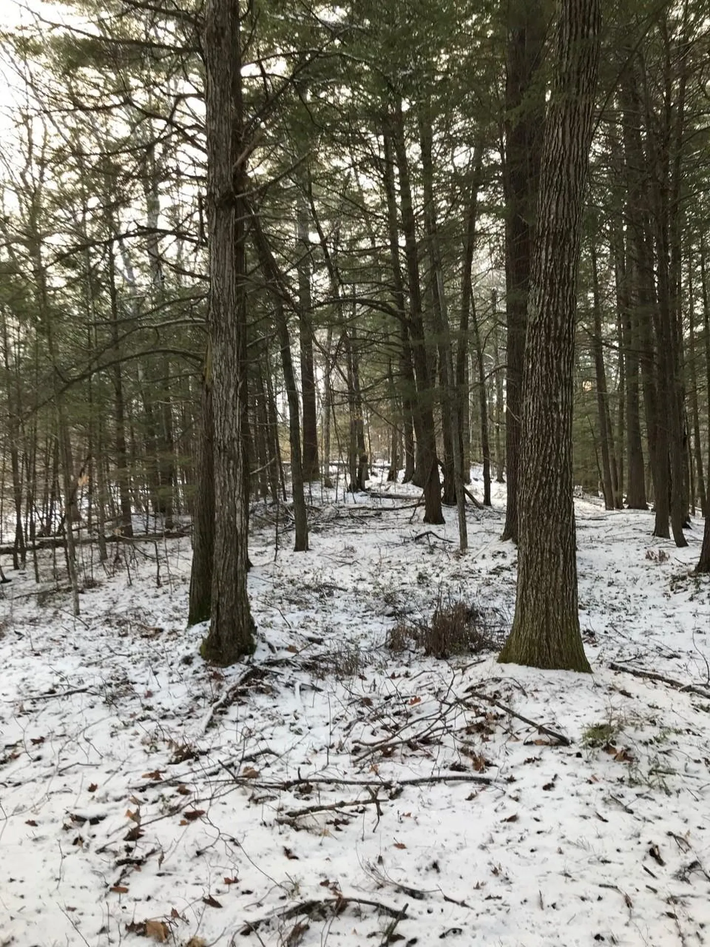 11 Conner Pond Road Ossipee NH 03864