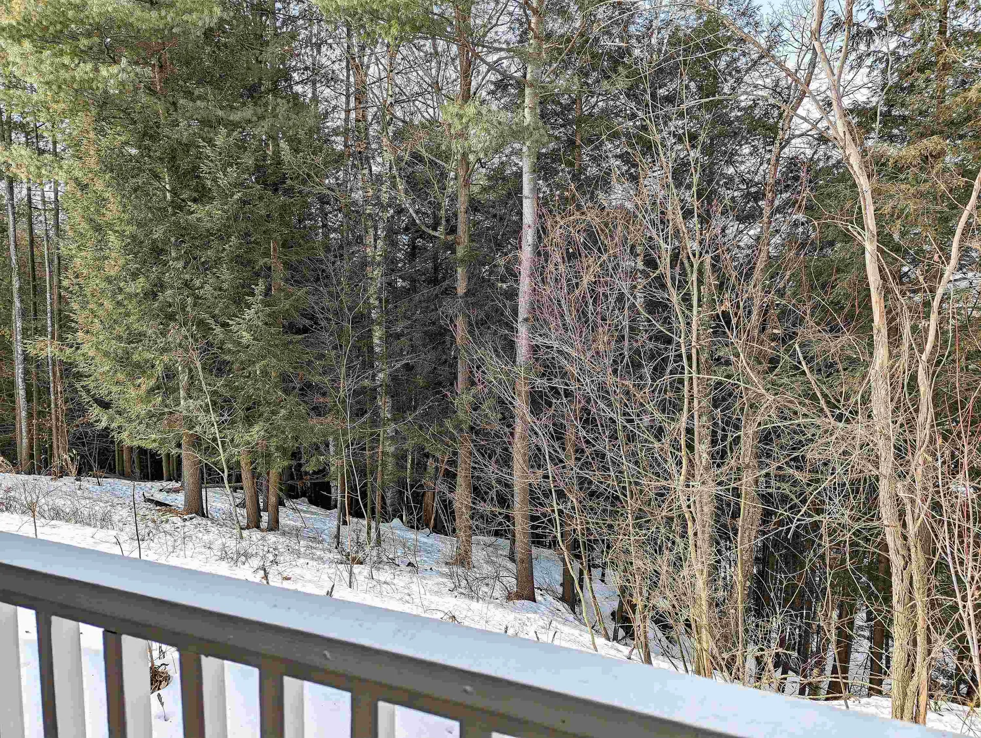 32 Wildersburg Common Barre Town VT 05641