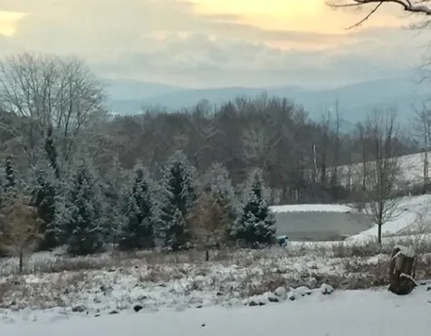3025 Mount Anthony Road Bennington VT 05204
