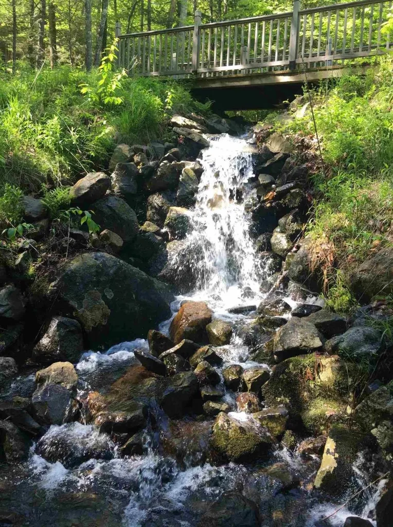 1335 Mount Major Highway Alton NH 03810
