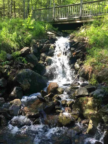 1335 Mount Major Highway Alton NH 03810