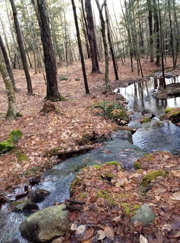 1335 Mount Major Highway Alton NH 03810