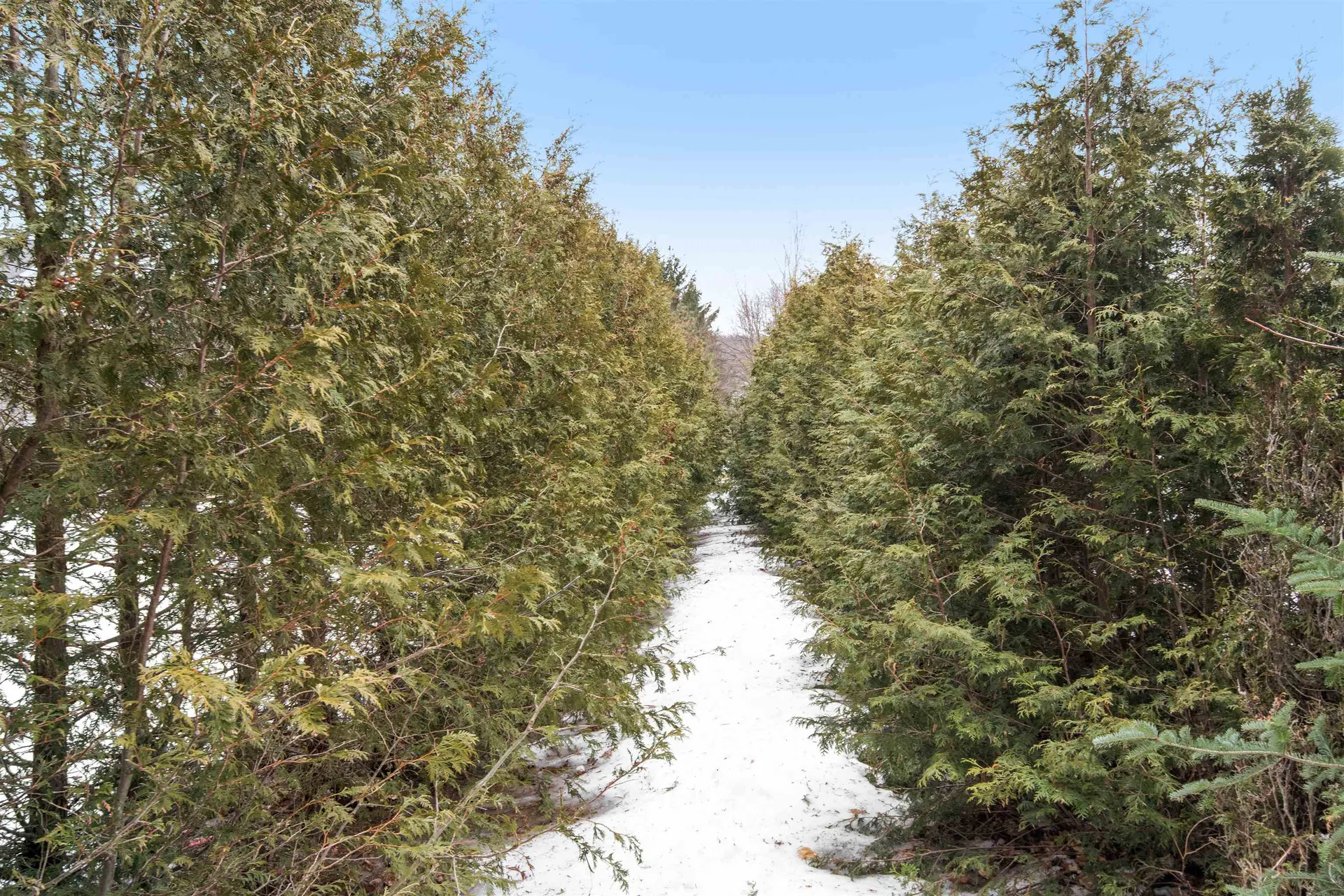 19 Kriste Lane Jericho VT 05465