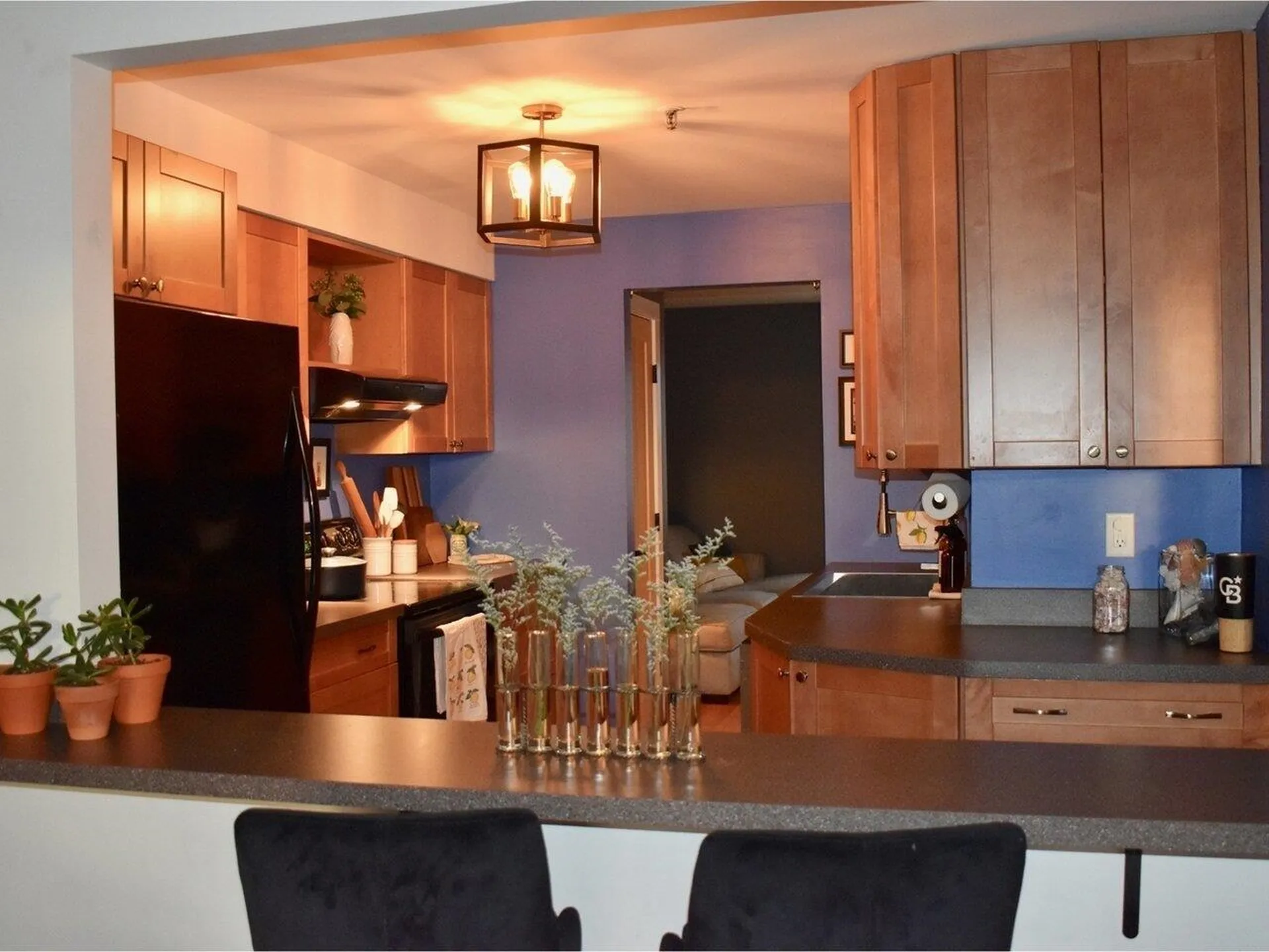 337 College Street Burlington VT 05401