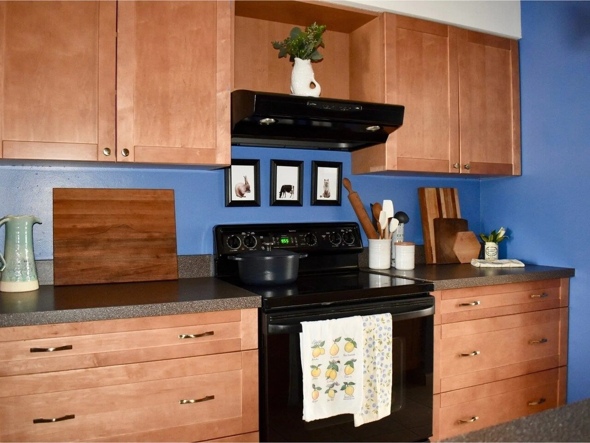 337 College Street Burlington VT 05401