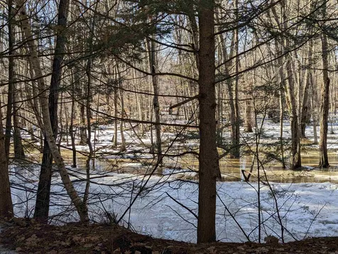55 Martin Road Deering NH 03244