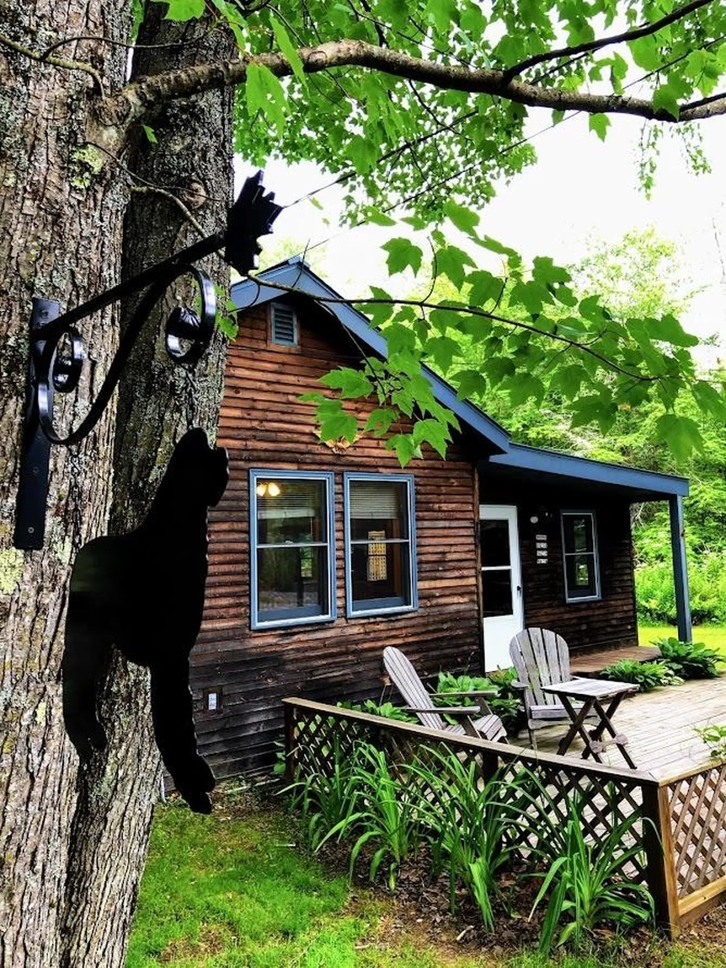 13 Blueberry Hill Lane Alstead NH 03602