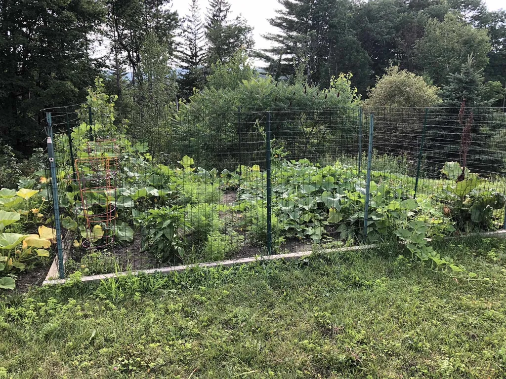 220 Thomas Lane Stowe VT 05672