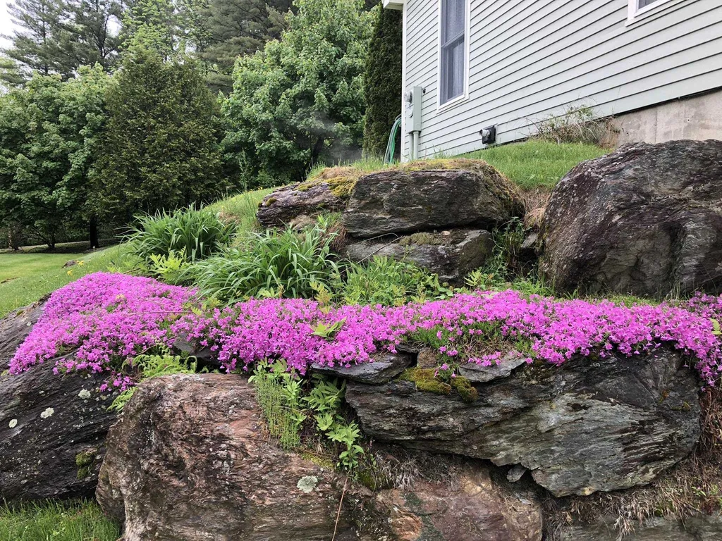 220 Thomas Lane Stowe VT 05672