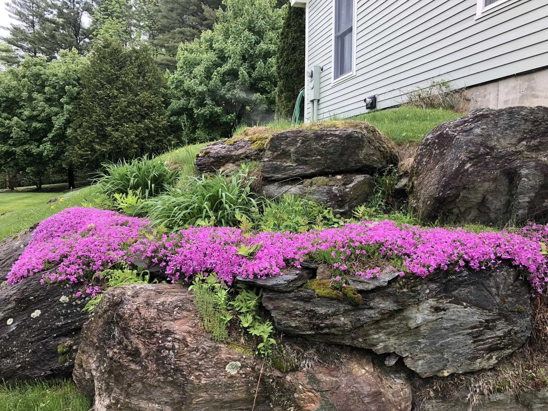 220 Thomas Lane Stowe VT 05672