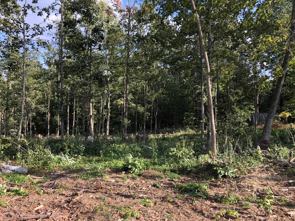 349 Derry Road Chester NH 03036