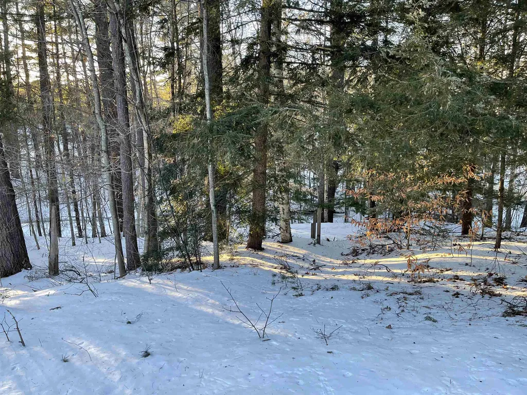116 Pleasant View Road Bradford NH 03221