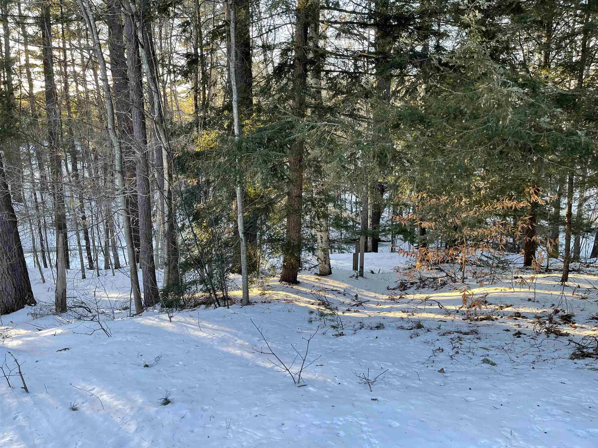 116 Pleasant View Road Bradford NH 03221