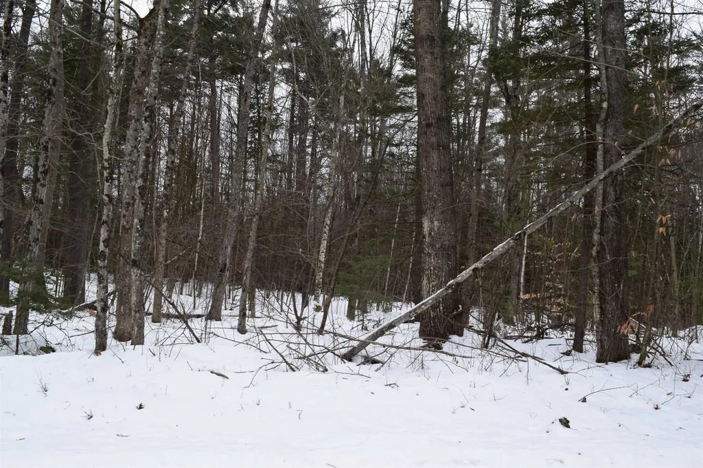 149 Bear Road Haverhill NH 03765