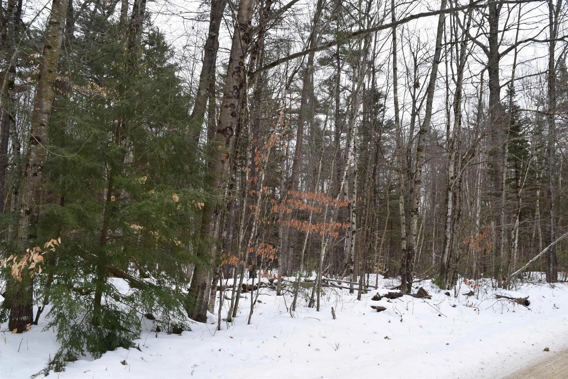 149 Bear Road Haverhill NH 03765