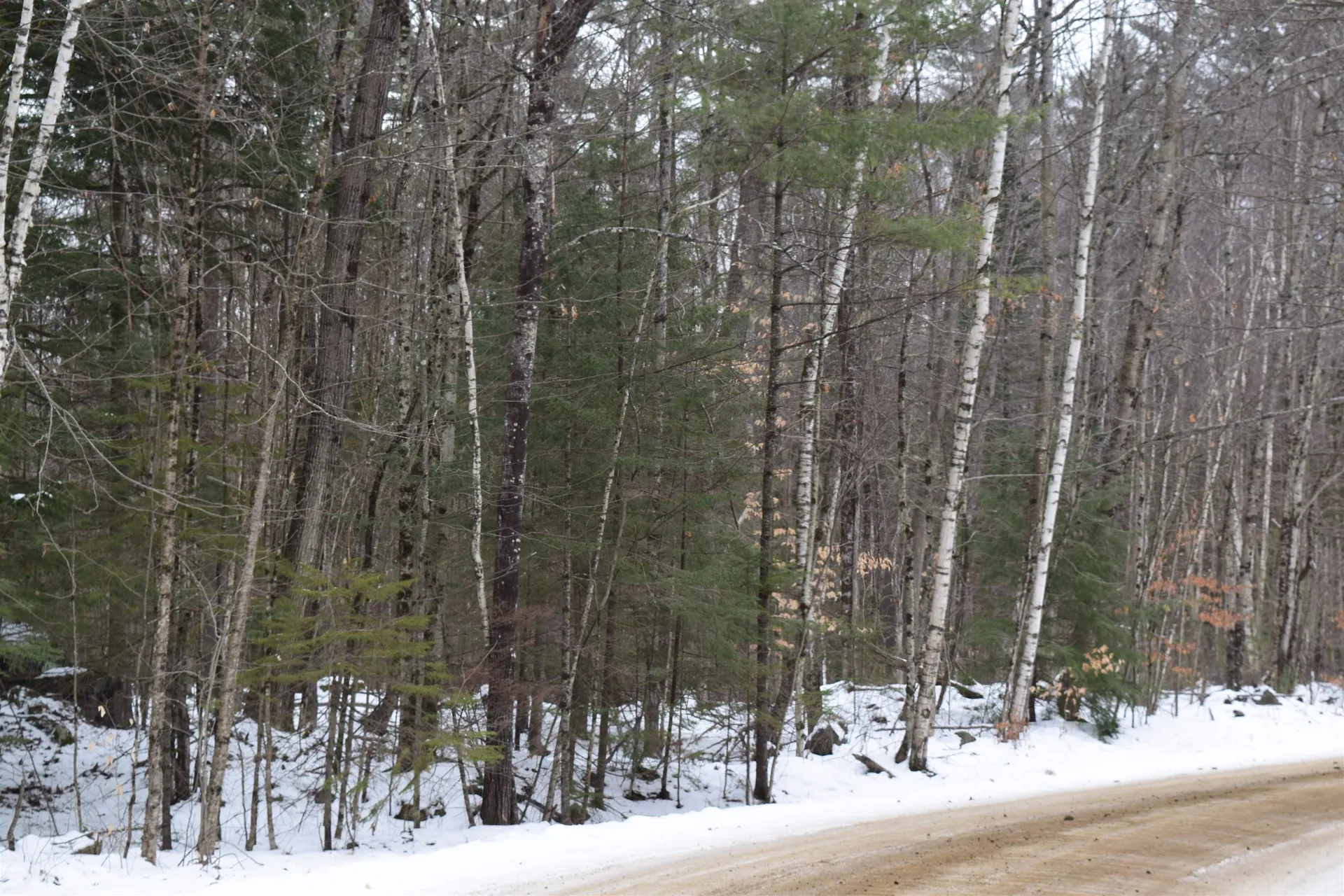 149 Bear Road Haverhill NH 03765