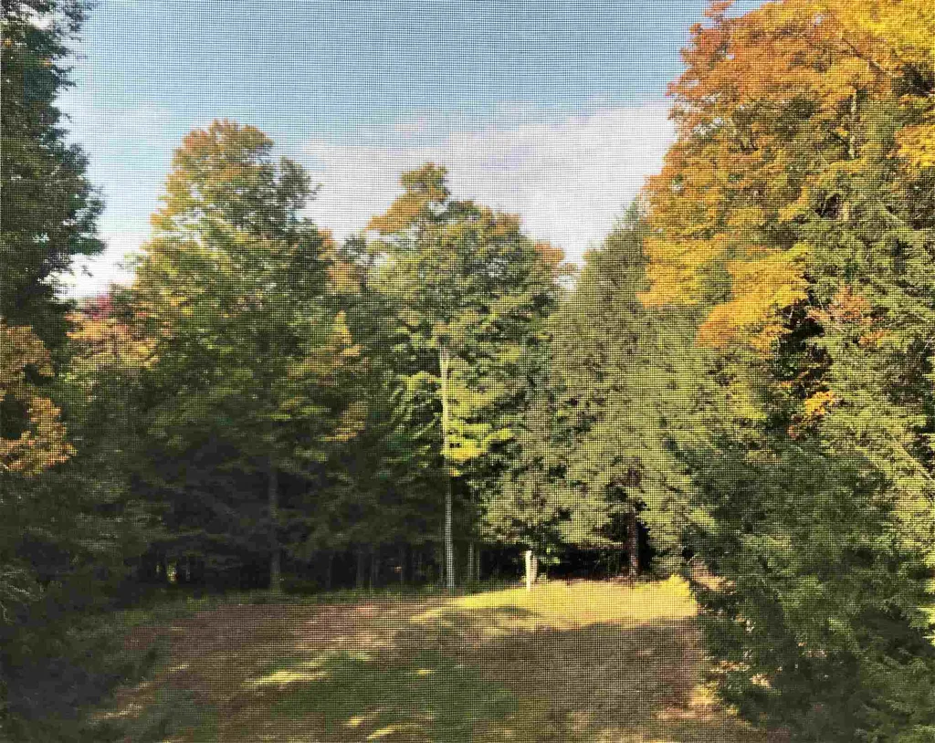 12 Woodlot Lane Wilmington VT 05363