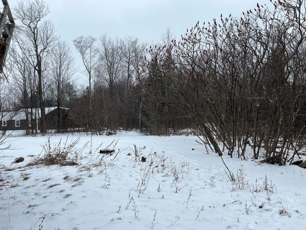 119 Adams School Road Grand Isle VT 05458