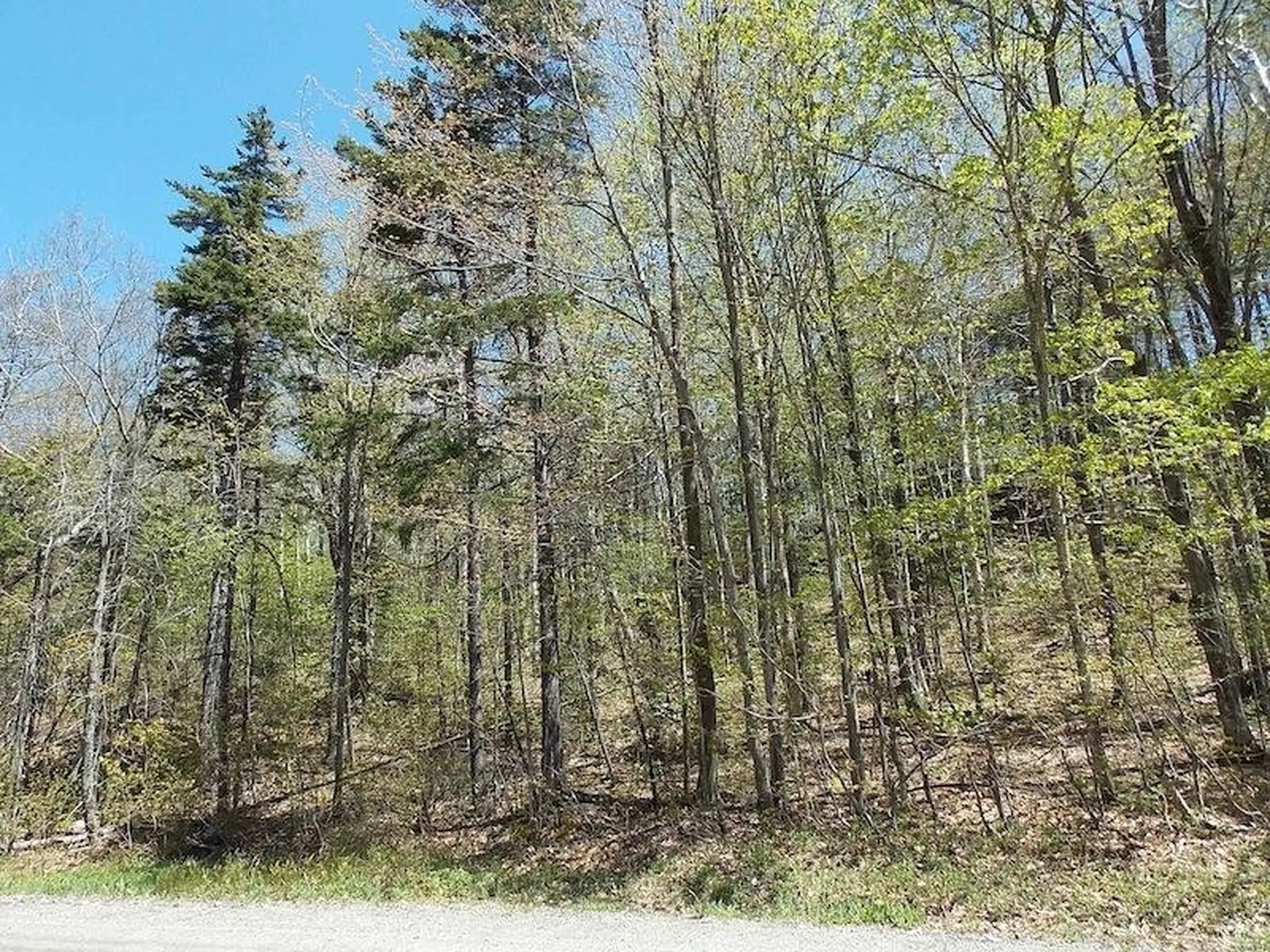 33 Heritage Drive Dover VT 05356
