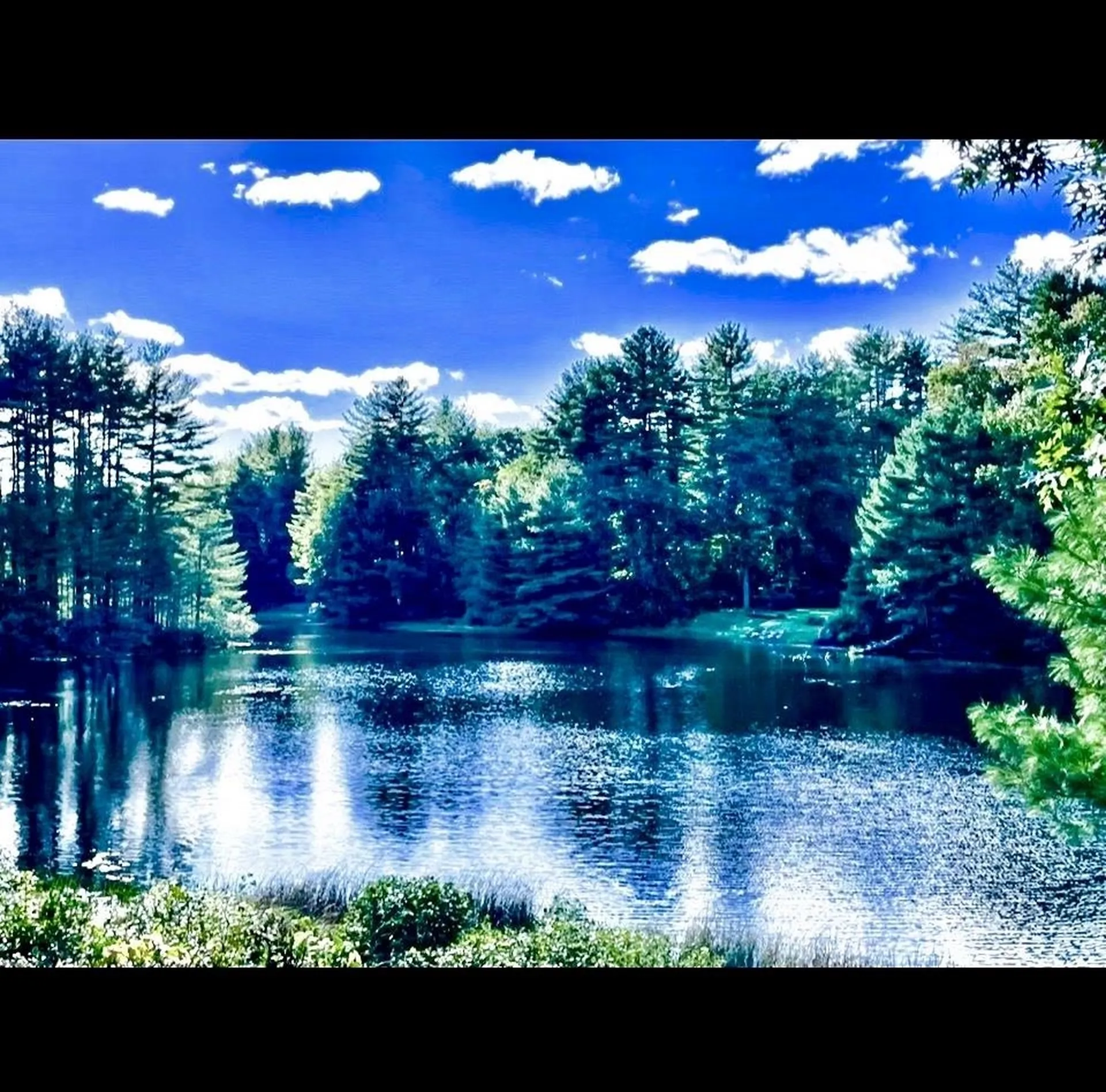 24 Jackson Square Bedford NH 03110