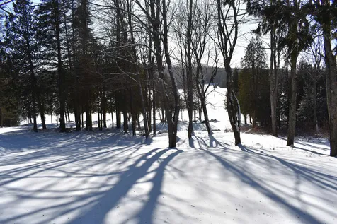 495 Daniels Pond Road Glover VT 05839