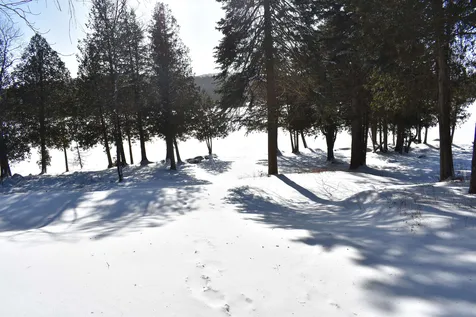 495 Daniels Pond Road Glover VT 05839