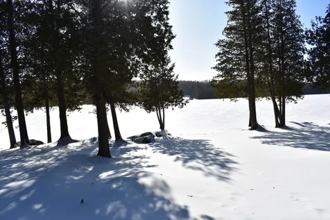 495 Daniels Pond Road Glover VT 05839