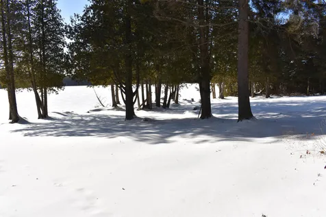 495 Daniels Pond Road Glover VT 05839