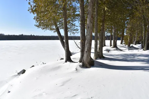 495 Daniels Pond Road Glover VT 05839