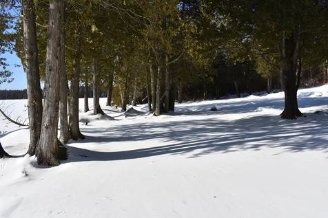495 Daniels Pond Road Glover VT 05839