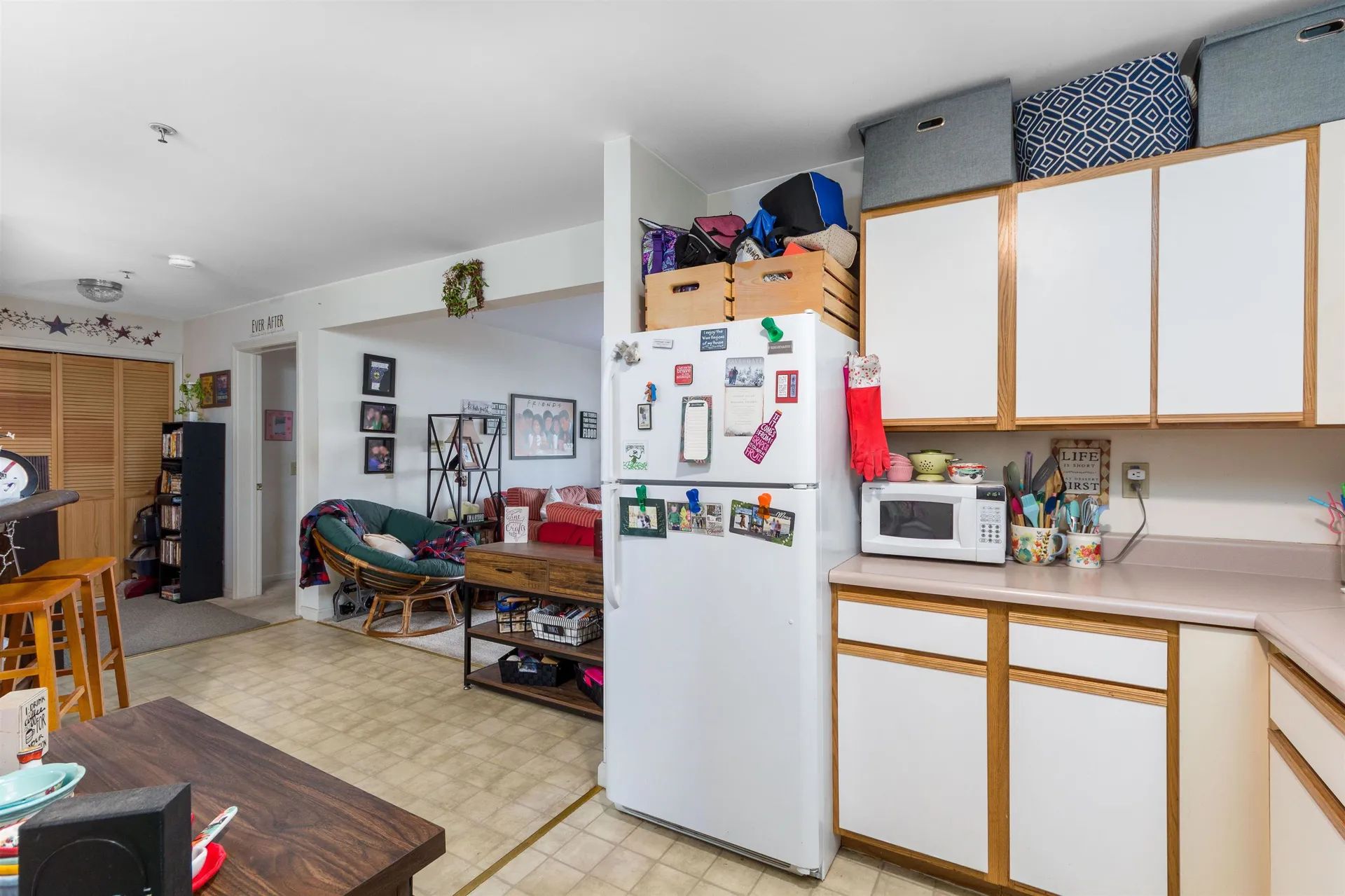 157 Hildred Drive Burlington VT 05401