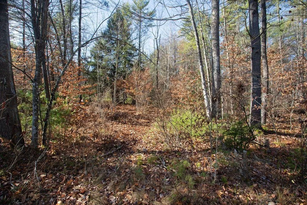0 Chickadee Lane Lebanon ME 04027