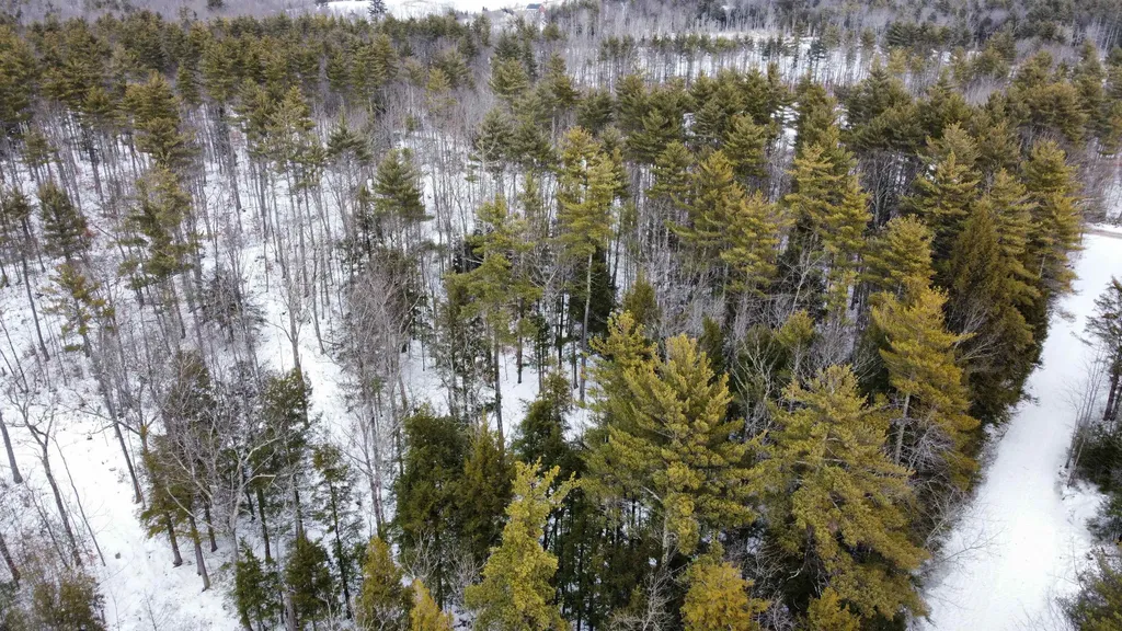 0 Chickadee Lane Lebanon ME 04027