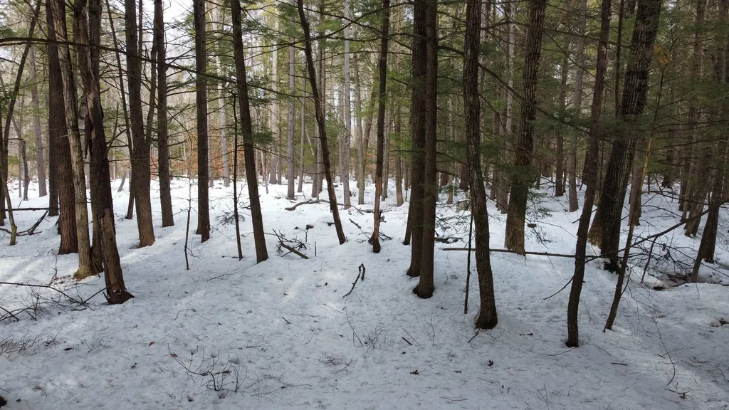 0 Chickadee Lane Lebanon ME 04027