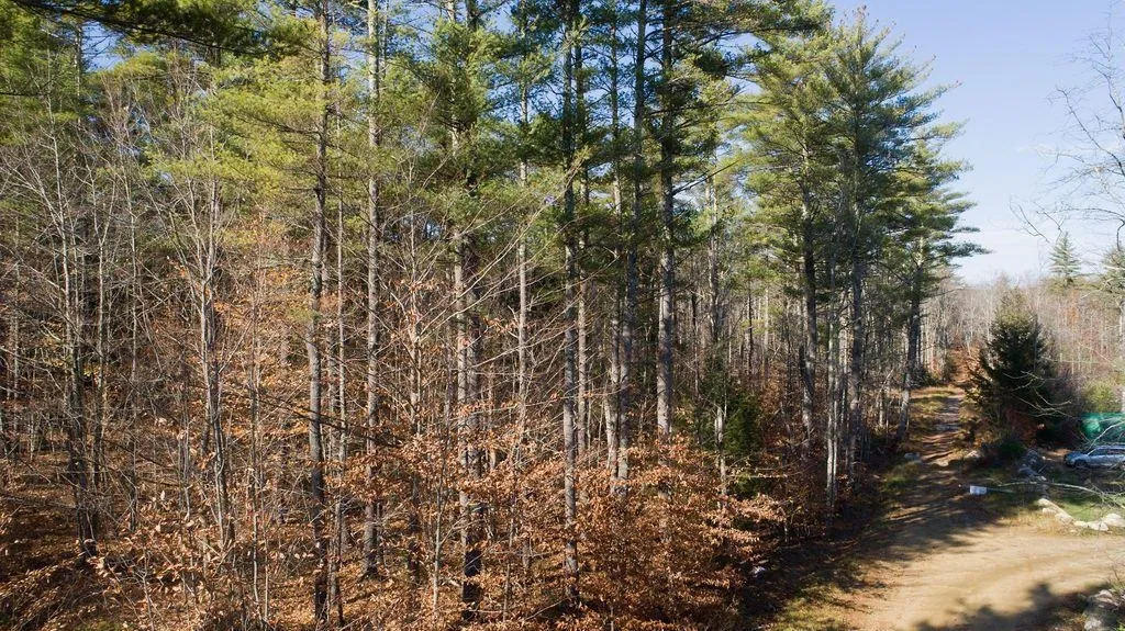 0 Chickadee Lane Lebanon ME 04027