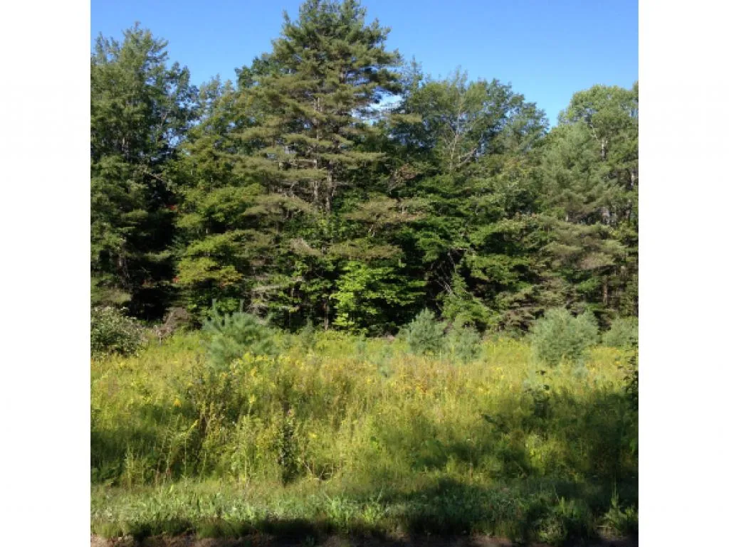 Wallace Hill Road Newbury VT 05081
