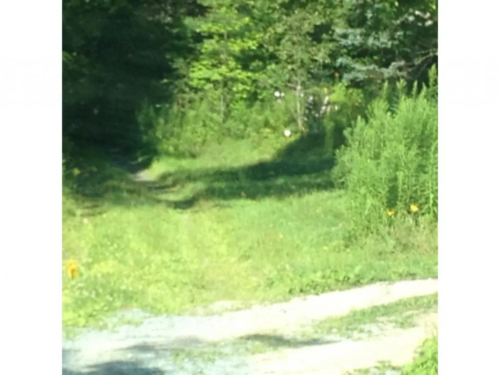 Wallace Hill Road Newbury VT 05081