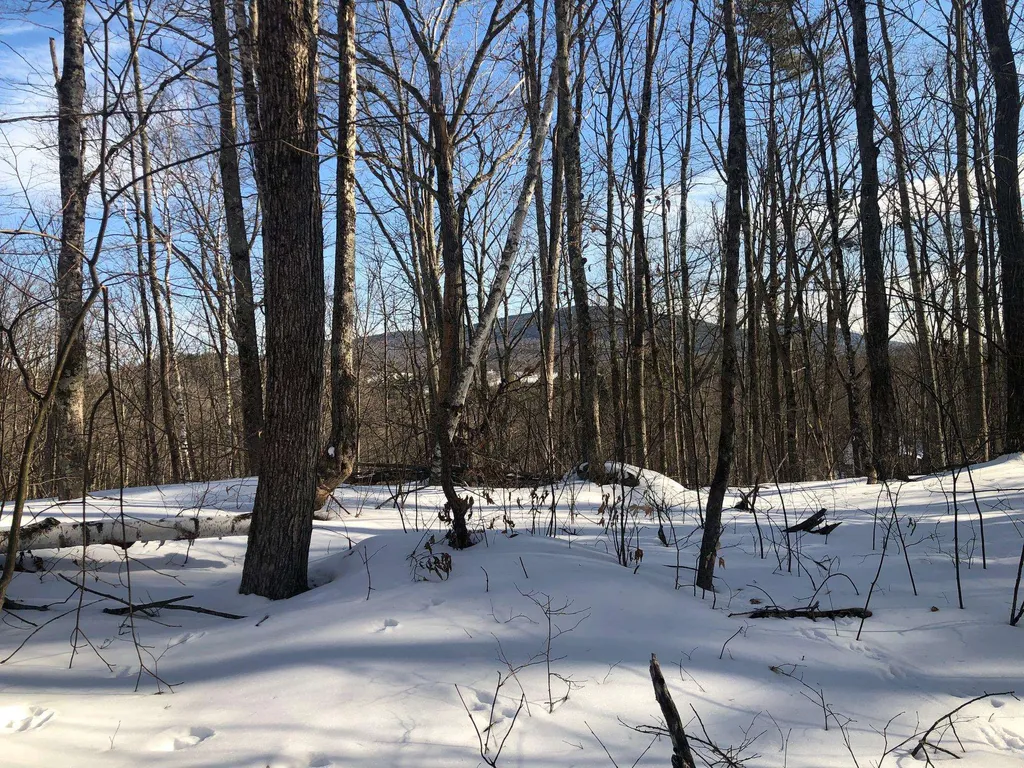 Paulsen Circle Haverhill NH 03785