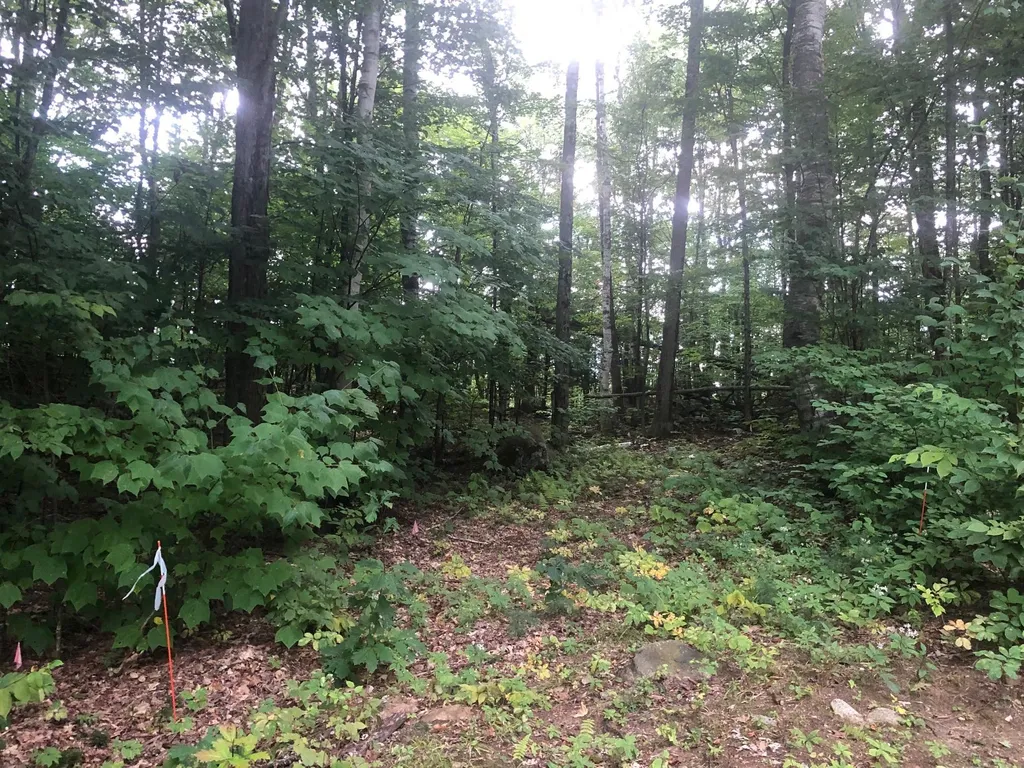 Paulsen Circle Haverhill NH 03785