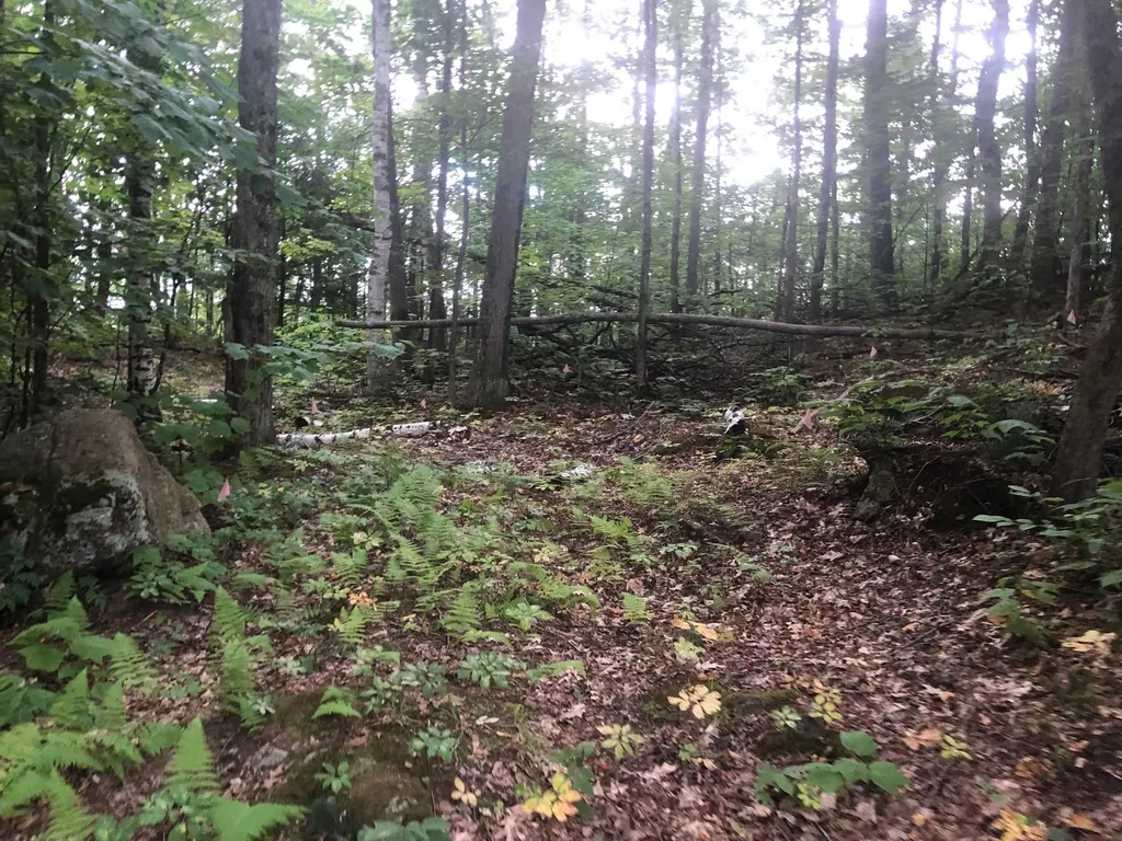 Paulsen Circle Haverhill NH 03785
