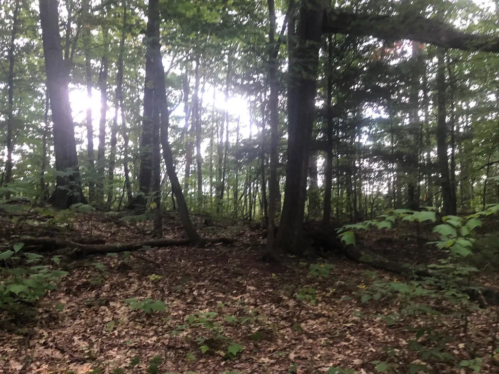 Paulsen Circle Haverhill NH 03785