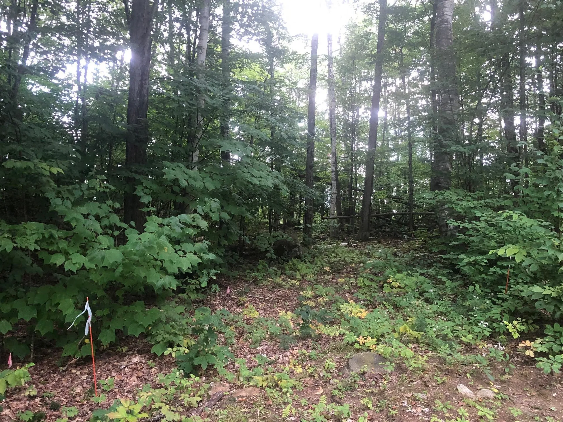 Paulsen Circle Haverhill NH 03785