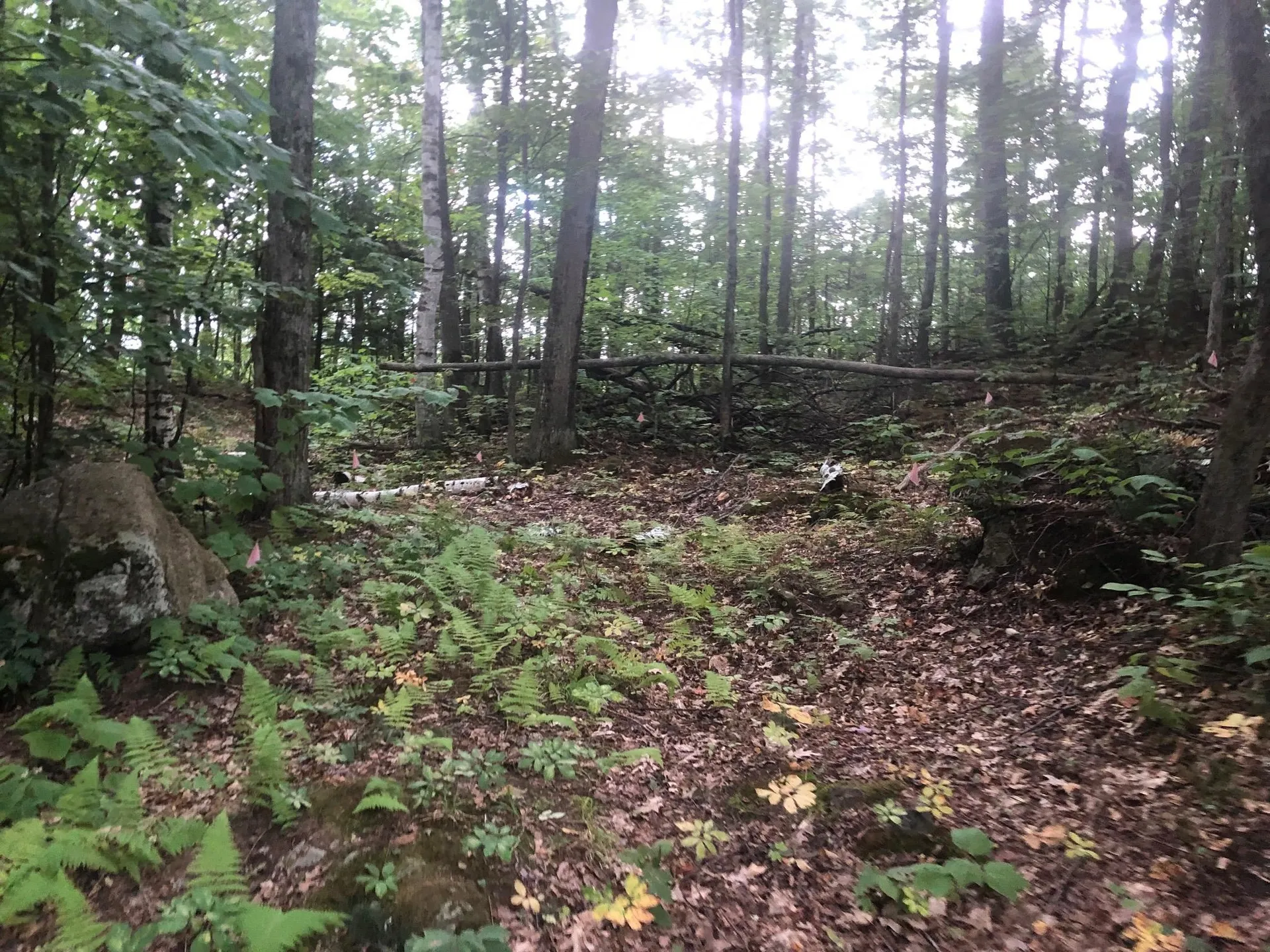 Paulsen Circle Haverhill NH 03785