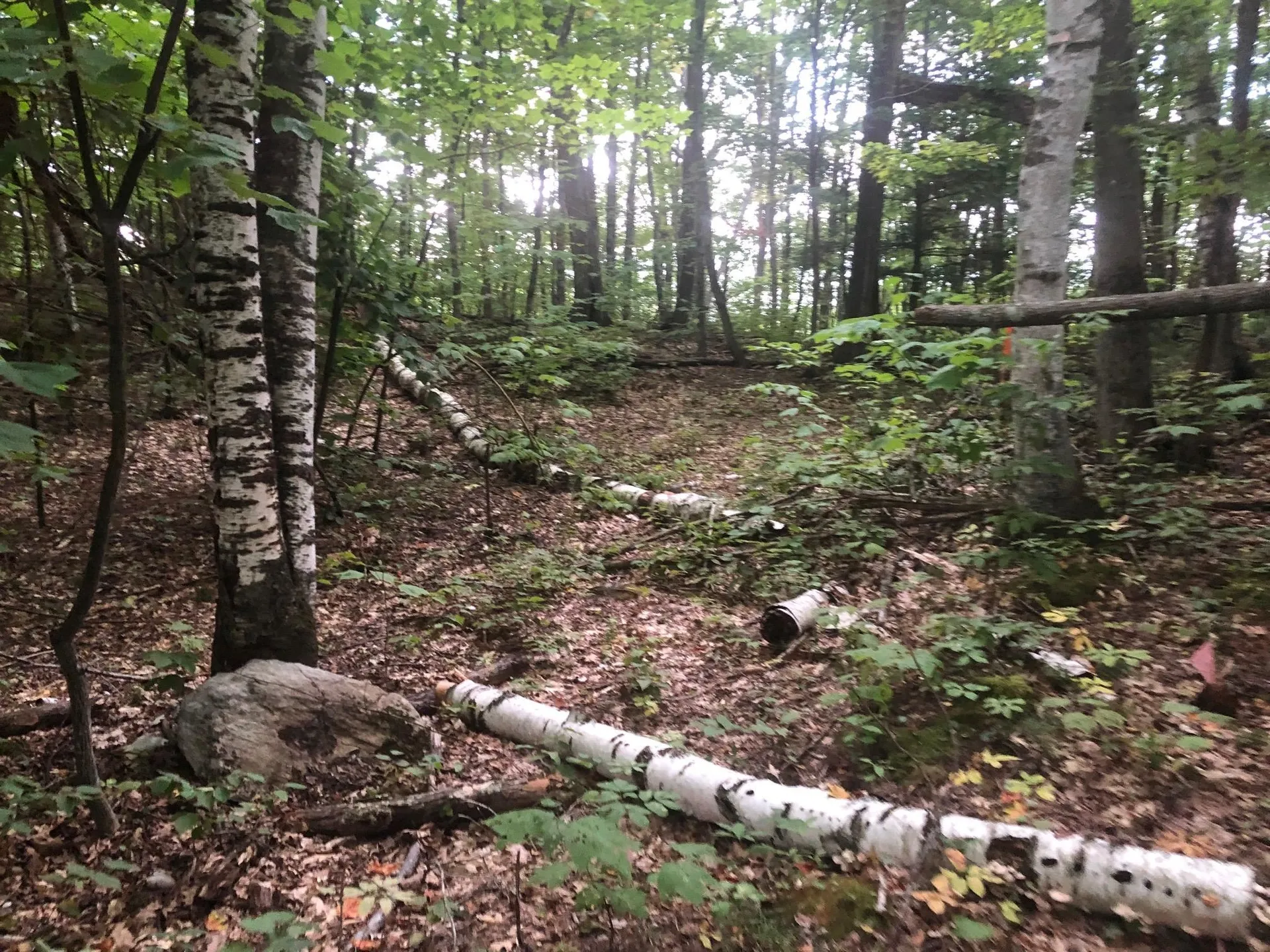 Paulsen Circle Haverhill NH 03785